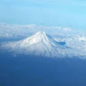 Meet your Posher, Benjamin